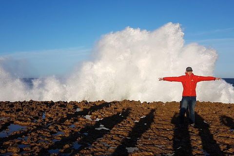 Ride Tours, 2 Day Great Ocean Road Experience - Tourism Cairns 1