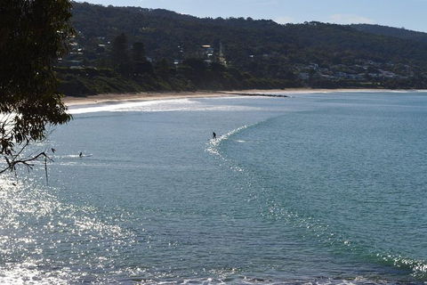 PRIVATE Great Ocean Road Tour And 12 Apostles With Wildlife Spotting - Tourism Cairns 6