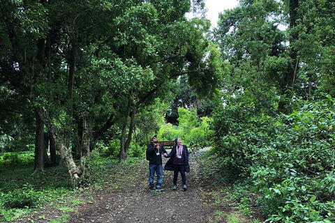 Alices Journeys Guided Walking Tours Of Daylesford - Tourism Cairns 5
