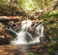 Discover Tour Dandenong Ranges  William Ricketts Sanctuary - Tourism Cairns