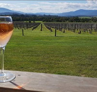 Yarra Valley 7 Hours Guided Wine Tour with 2-Course Lunch - Tourism Cairns
