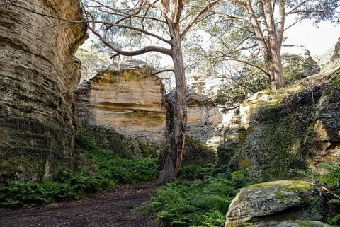 Explore Blue Mountains: 4WD Adventure 1 Day Tour With Local Guide - Tourism Cairns 5