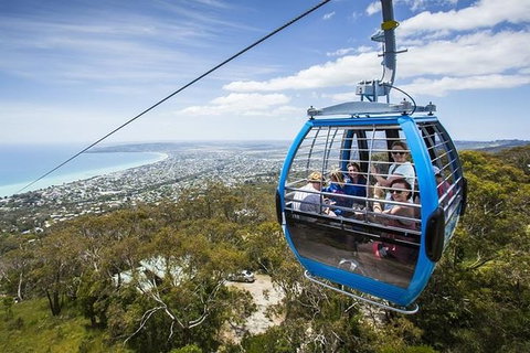 Full Day - Peninsula Hot Springs & Bathing Boxes - Tourism Cairns 2