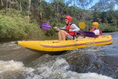 Yarra River Half-Day Rafting Experience - Tourism Cairns 2