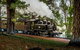 Small Group - Dandenong Ranges, Puffing Billy & Healesville Sanctuary Day Tour - thumb 2