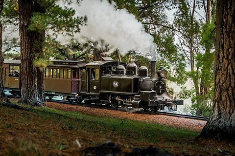 Small Group - Dandenong Ranges, Puffing Billy & Healesville Sanctuary Day Tour - Tourism Cairns 2