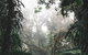 Small Group - Dandenong Ranges, Puffing Billy & Healesville Sanctuary Day Tour - thumb 3
