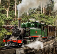 Small Group - Dandenong Ranges Puffing Billy  Healesville Sanctuary Day Tour - Tourism Cairns
