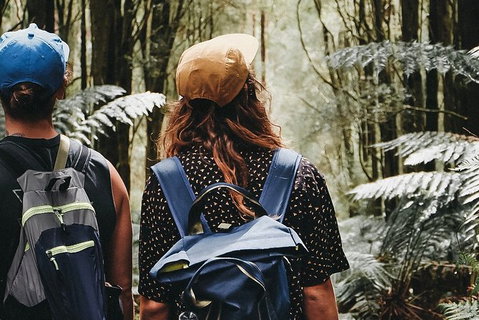 Small Group - Dandenong Ranges, Puffing Billy & Healesville Sanctuary Day Tour - Tourism Cairns 6