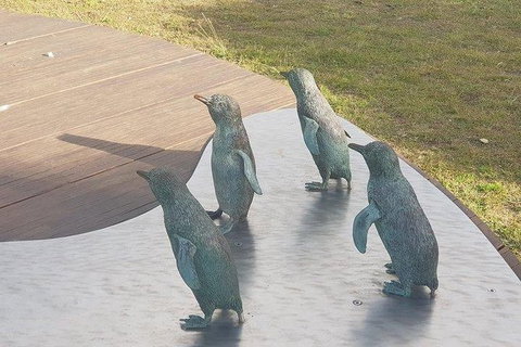 Phillip Island Penguin And Wildlife Tour - Tourism Cairns 14