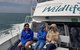 Phillip Island Penguin And Wildlife Tour - thumb 15
