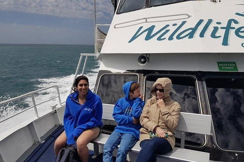 Phillip Island Penguin And Wildlife Tour - Tourism Cairns 15