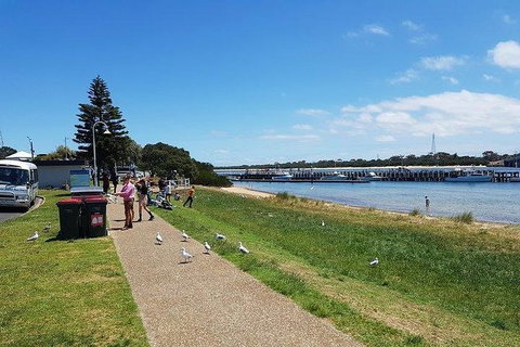 Phillip Island Penguin And Wildlife Tour - Tourism Cairns 25