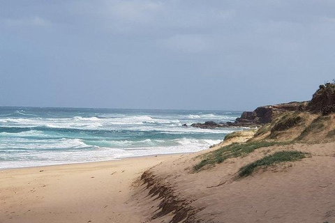 Phillip Island Penguin And Wildlife Tour - Tourism Cairns 10