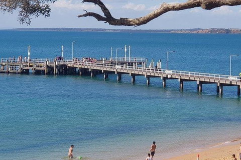 Phillip Island Penguin And Wildlife Tour - Tourism Cairns 2