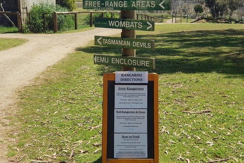 Phillip Island Penguin And Wildlife Tour - Tourism Cairns 4