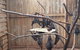 Phillip Island Penguin And Wildlife Tour - thumb 31