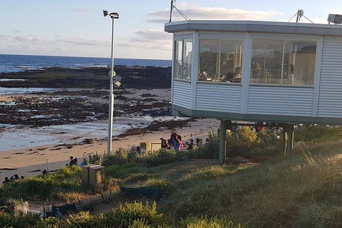 Phillip Island Penguin And Wildlife Tour - Tourism Cairns 33