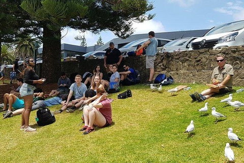 Phillip Island Penguin And Wildlife Tour - Tourism Cairns 22
