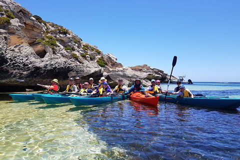 Rottnest Glass Bottom Kayaking Tour - Tourism Cairns 0