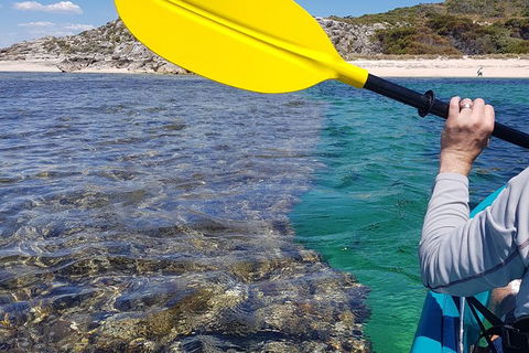 Rottnest Glass Bottom Kayaking Tour - Tourism Cairns 3