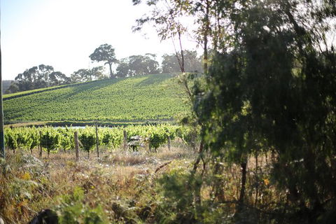 All Inclusive Surf Camp In Margaret River Region - Tourism Cairns 3