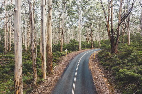 All Inclusive Surf Camp In Margaret River Region - Tourism Cairns 2