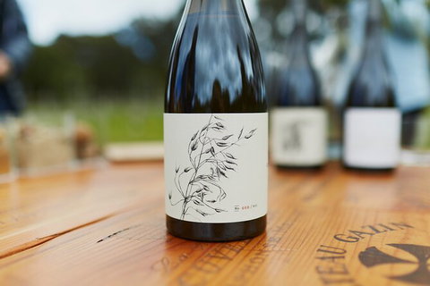 Organic Vineyard/Farm Tour - Tourism Cairns 8