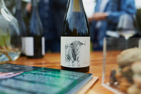 Organic Vineyard/Farm Tour - Tourism Cairns 5