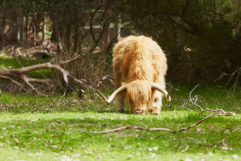 Organic Vineyard/Farm Tour - Tourism Cairns 2