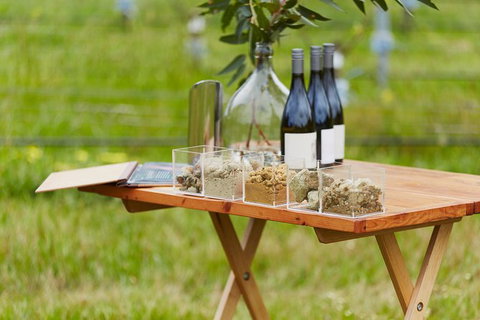 Organic Vineyard/Farm Tour - Tourism Cairns 3