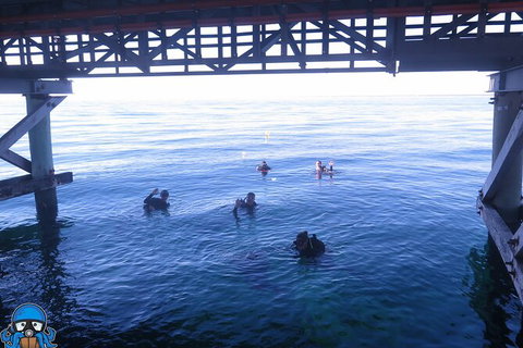 PADI Open Water Course - Tourism Cairns 3