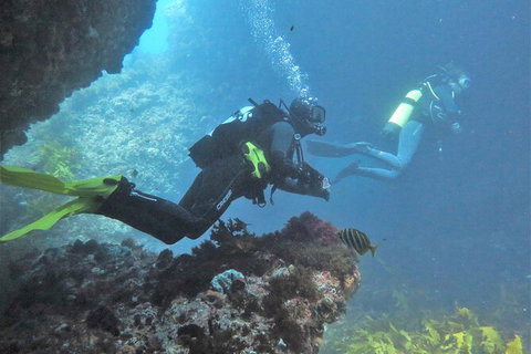 PADI Open Water Course - Tourism Cairns 2