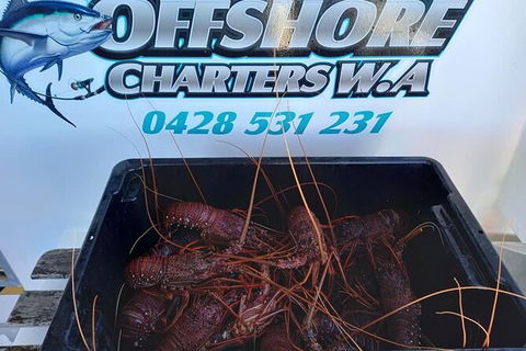 Lobster Fishing Tour At Geraldton - Tourism Cairns 0