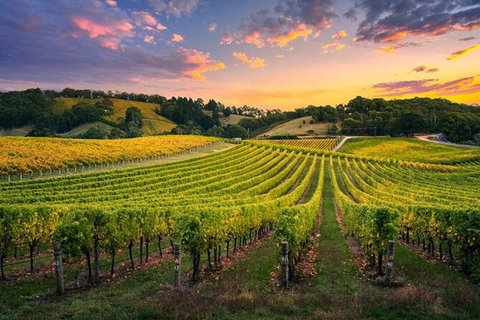 Swan Valley Sunset Wine Tour - Premium Small Group Tour - Tourism Cairns 0