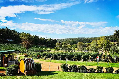 Bickley Valley Wine & Cider Tour - Premium Small Group Tour - Tourism Cairns 0