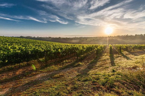 Perth To Margaret River Wine Tour - 2 Day Premium Boutique Wine Tour Experience - Tourism Cairns 0