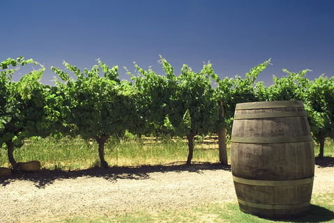 Pinnacles Desert Private Tour - Tourism Cairns 4