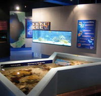 Marine and Freshwater Discovery Centre - Tourism Cairns