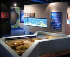 Marine And Freshwater Discovery Centre - Tourism Cairns 0