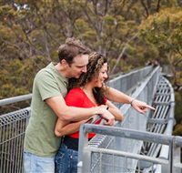 Valley of the Giants Tree Top Walk - Tourism Cairns