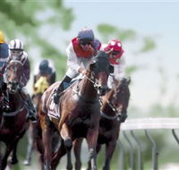 Colac Turf Club - Tourism Cairns
