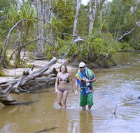 Tjuwaliyn / Douglas Hot Springs Park - Tourism Cairns