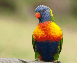 Booderee National Park - Tourism Cairns 1