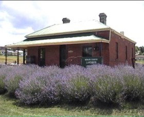 Lavender House In Railway Park - Tourism Cairns 0