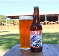 Feral Brewing Company - Tourism Cairns