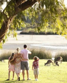 Yanchep WA Tourism Cairns