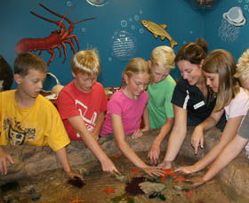 Naturaliste Marine Discovery Centre - Tourism Cairns 0