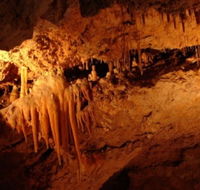 Yanchep National Park - Crystal Cave - Tourism Cairns