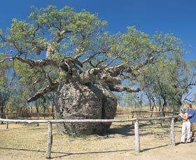 Camballin WA Tourism Cairns